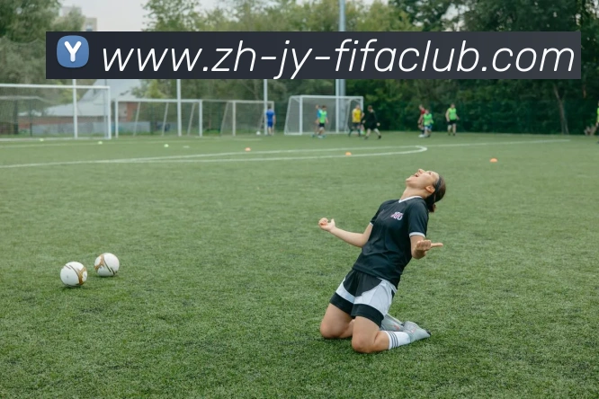 App Interface Preview